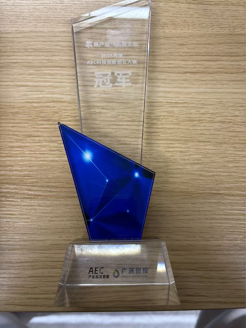 2025 AEC Technology Innovation and Entrepreneurship Competition Champion