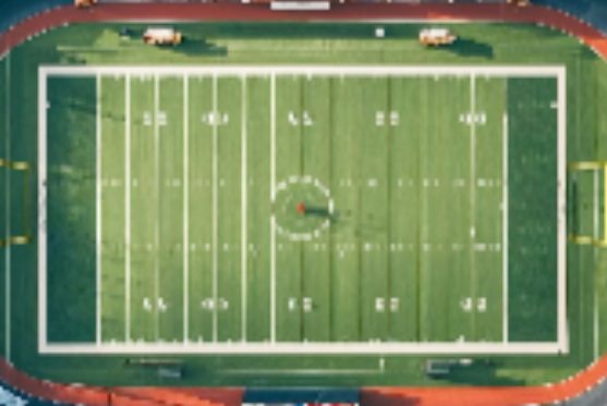 Rugby field